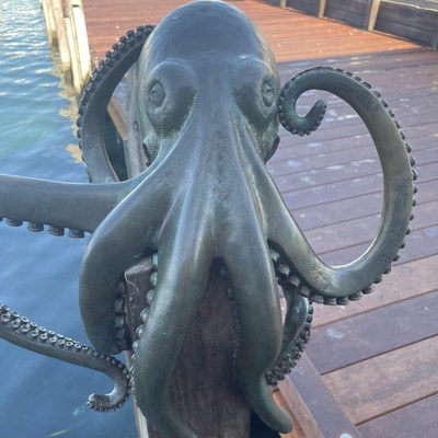 Eddy the Octopus, Ministry of Maritime Nonsense