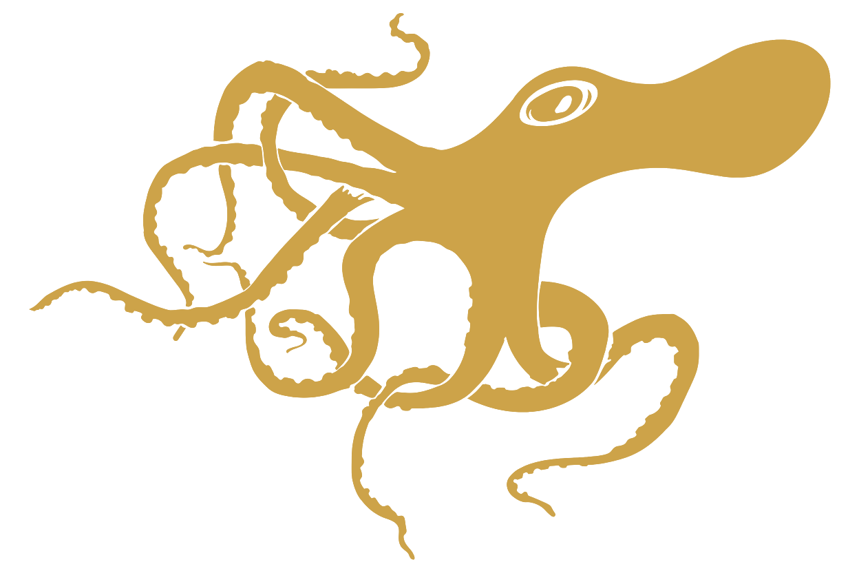 Black Octopus Republic